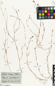 SW_BNB_s3010-01618_IMG-0000000001