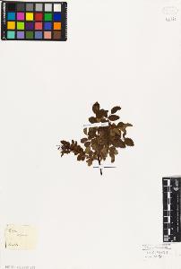 SW_BNB_s3010-01619_IMG-0000000001