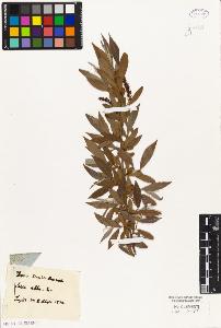 SW_BNB_s3010-01649_IMG-0000000001