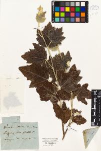SW_BNB_s3010-01654_IMG-0000000001