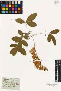 SW_BNB_s3010-01660_IMG-0000000001