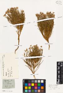 SW_BNB_s3010-01662_IMG-0000000001