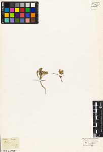 SW_BNB_s3010-01666_IMG-0000000001