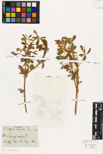 SW_BNB_s3010-01674_IMG-0000000001