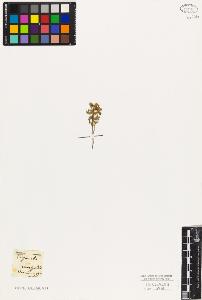 SW_BNB_s3010-01682_IMG-0000000001