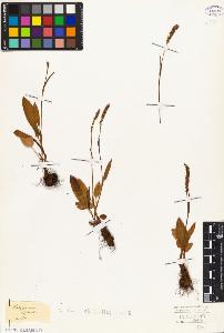 SW_BNB_s3010-01691_IMG-0000000001