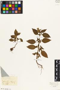 SW_BNB_s3010-01692_IMG-0000000001