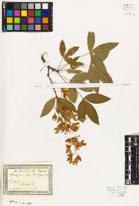 SW_BNB_s3010-01694_IMG-0000000001