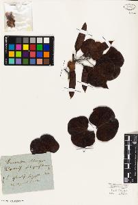 SW_BNB_s3010-01704_IMG-0000000001