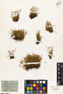 SW_BNB_s3010-01717_IMG-0000000001