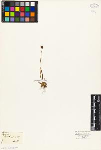 SW_BNB_s3010-01735_IMG-0000000001