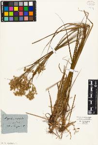 SW_BNB_s3010-01736_IMG-0000000001