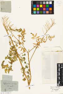 SW_BNB_s3010-01747_IMG-0000000001