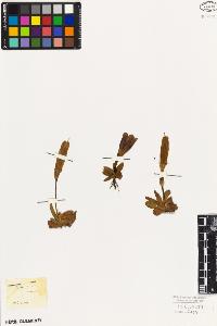 SW_BNB_s3010-01751_IMG-0000000001