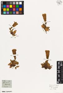 SW_BNB_s3010-01752_IMG-0000000001