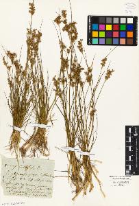 SW_BNB_s3010-01754_IMG-0000000001
