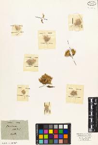 SW_BNB_s3010-01755_IMG-0000000001