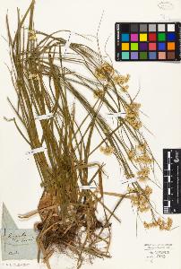 SW_BNB_s3010-01757_IMG-0000000001