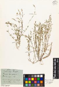 SW_BNB_s3010-01760_IMG-0000000001