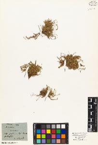 SW_BNB_s3010-01762_IMG-0000000001