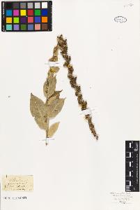 SW_BNB_s3010-01765_IMG-0000000001