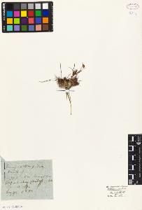 SW_BNB_s3010-01766_IMG-0000000001