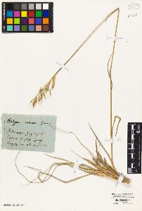 SW_BNB_s3010-01779_IMG-0000000001