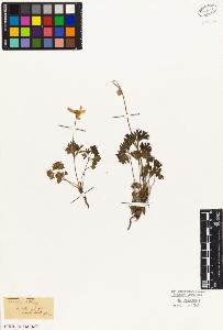 SW_BNB_s3010-01788_IMG-0000000001