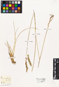 SW_BNB_s3010-01789_IMG-0000000001