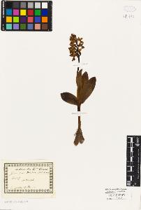 SW_BNB_s3010-01790_IMG-0000000001
