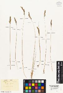SW_BNB_s3010-01800_IMG-0000000001