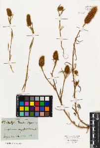 SW_BNB_s3010-01803_IMG-0000000001