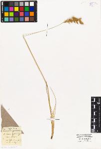 SW_BNB_s3010-01806_IMG-0000000001