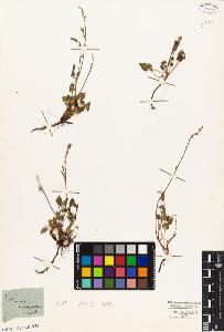 SW_BNB_s3010-01810_IMG-0000000001