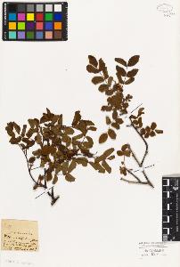 SW_BNB_s3010-01816_IMG-0000000001