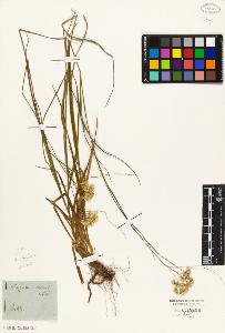 SW_BNB_s3010-01820_IMG-0000000001