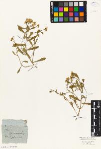 SW_BNB_s3010-01826_IMG-0000000001