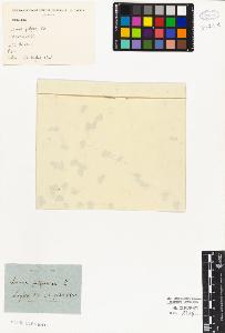SW_BNB_s3010-01833_IMG-0000000001