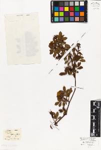 SW_BNB_s3010-01838_IMG-0000000001