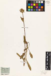 SW_BNB_s3010-01847_IMG-0000000001