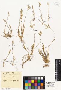 SW_BNB_s3010-01849_IMG-0000000001