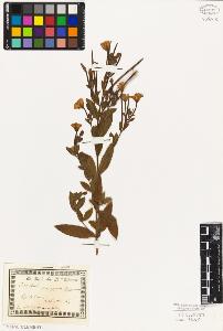 SW_BNB_s3010-01860_IMG-0000000001