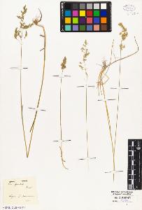 SW_BNB_s3010-01861_IMG-0000000001