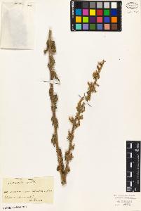 SW_BNB_s3010-01865_IMG-0000000001