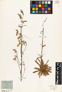 SW_BNB_s3010-01866_IMG-0000000001