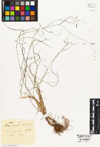 SW_BNB_s3010-01868_IMG-0000000001