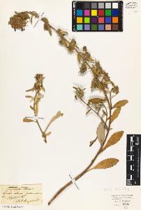 SW_BNB_s3010-01871_IMG-0000000001