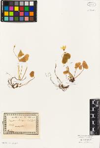 SW_BNB_s3010-01872_IMG-0000000001