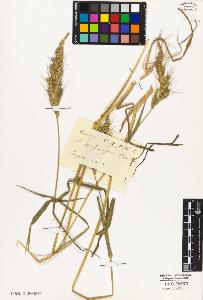 SW_BNB_s3010-01874_IMG-0000000001