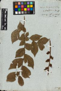 SW_BNB_s3010-01876_IMG-0000000001